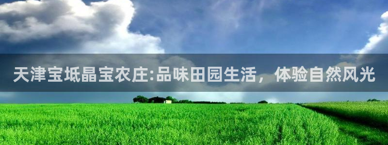 金年会金字招牌