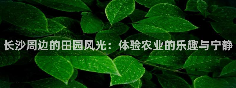 金年会退款