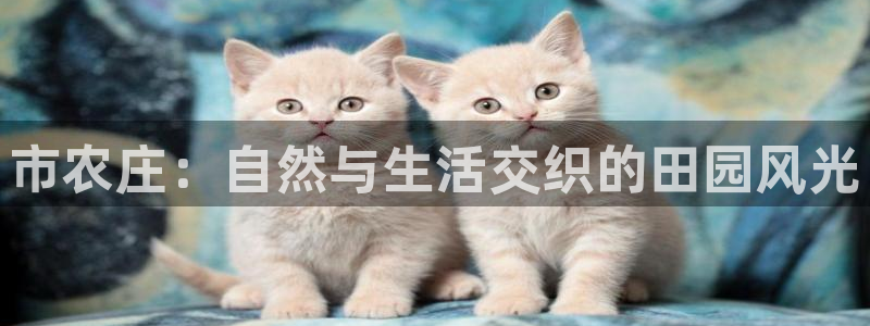 金年会嗨聊app下载