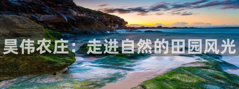 金哥年会