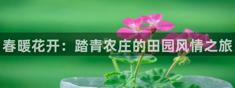 金年会今年会