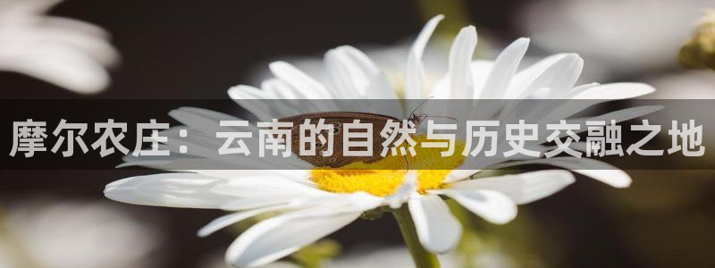 金年会金字招牌下载