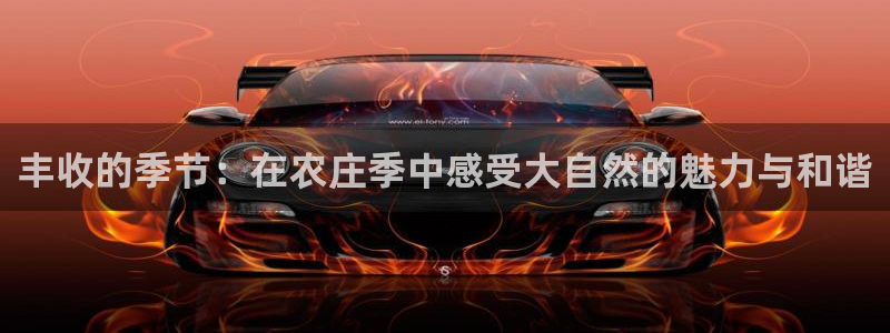 金年会提款