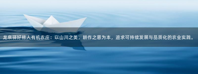 金年会网官网新版