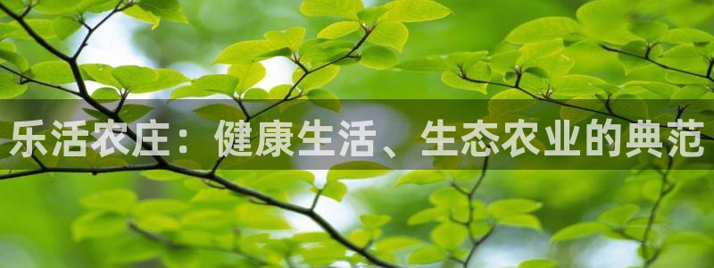 金年会 平台