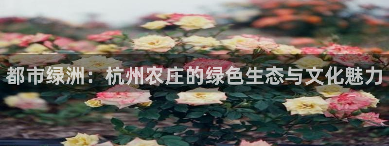 金科年会图片