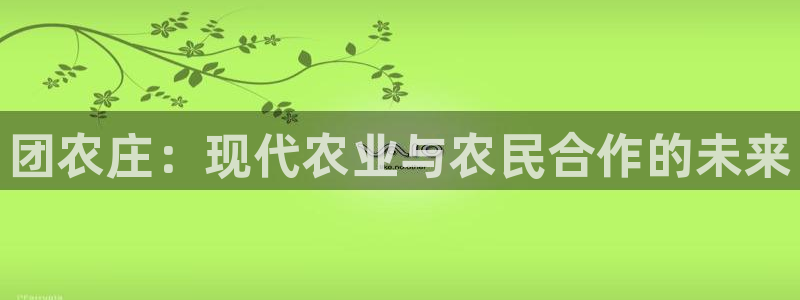 金年会com