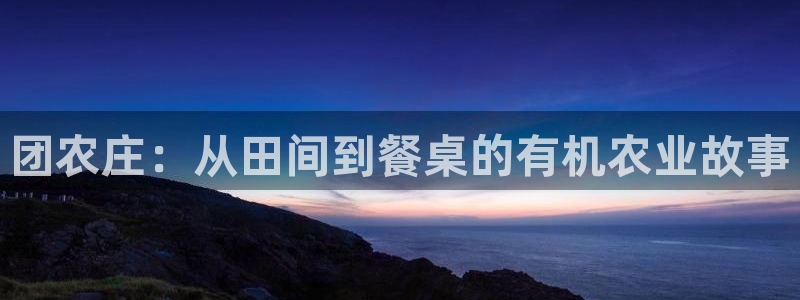 金年会菲律宾