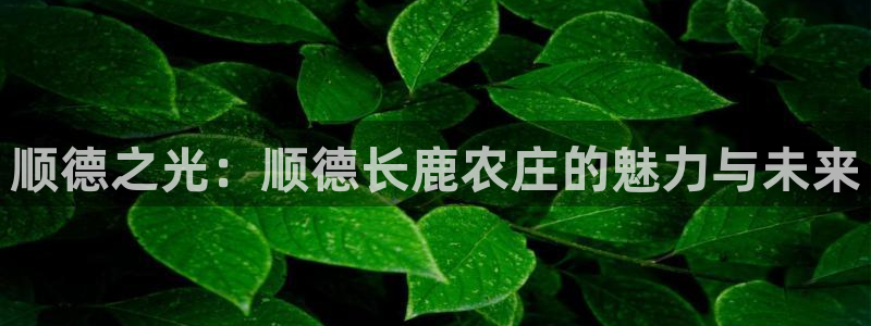 金年会app下载中国金年会