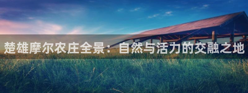 金年会网站