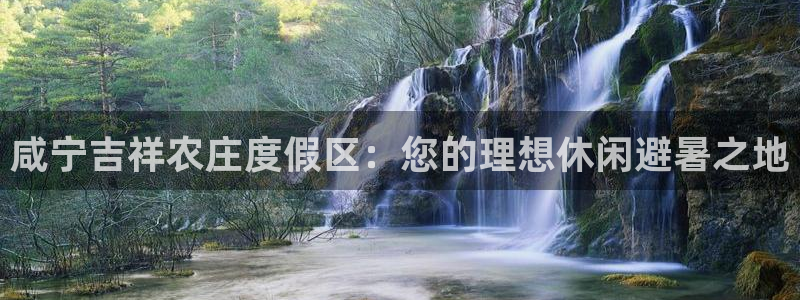 金年会官方网