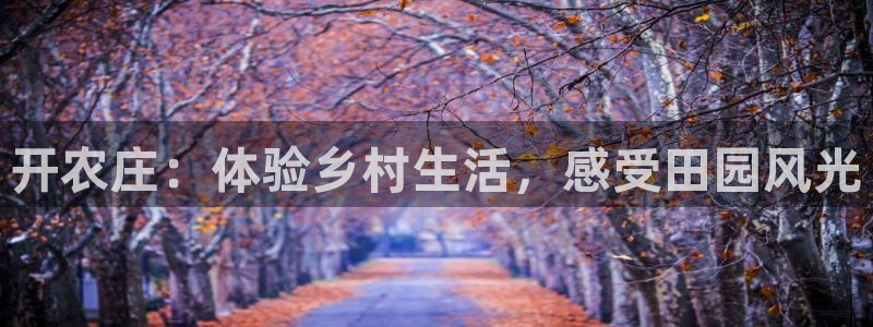 金年会app