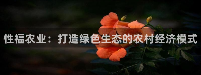6766金年会