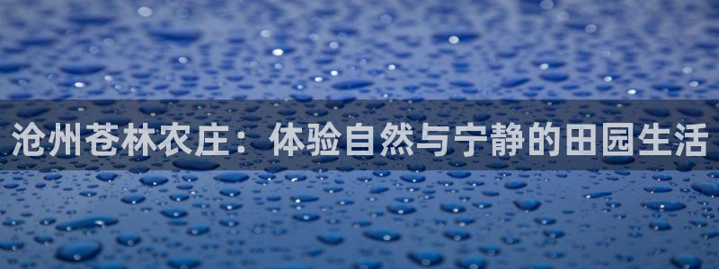 金年会官网登入