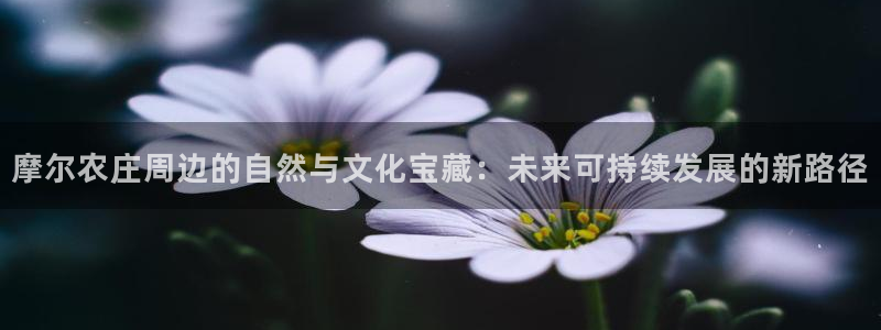金年会体育在线入口