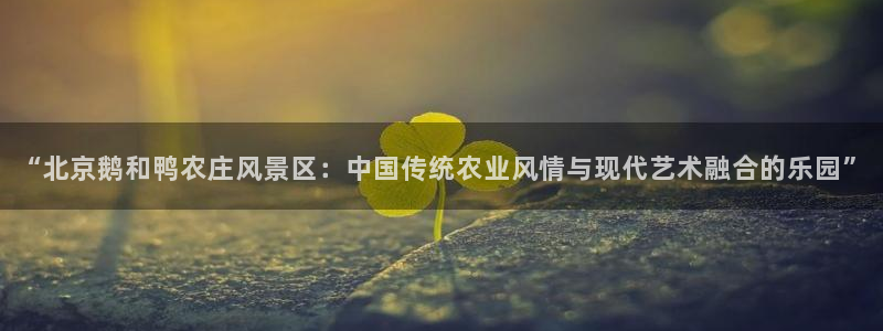 金年会投注官网