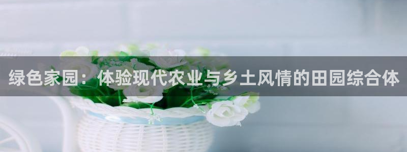 金年会体育和金年会