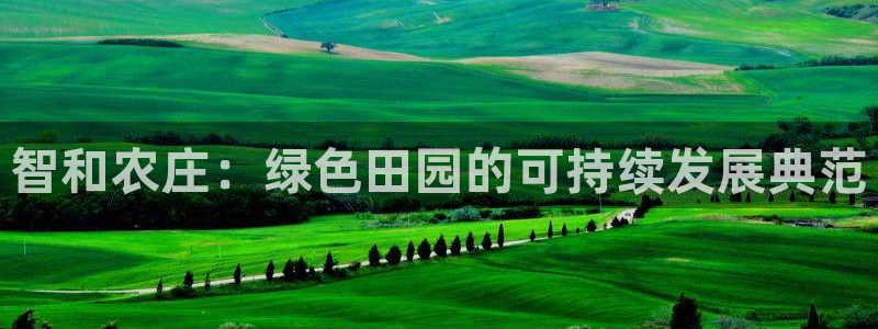金年会体育平台