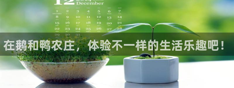 金年会体育app