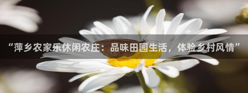 jinnian金年会