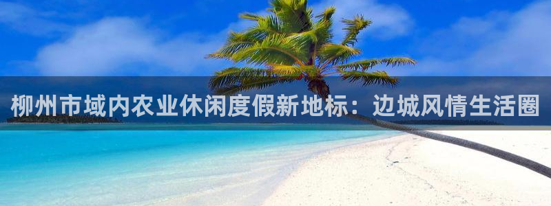 金年会赌博
