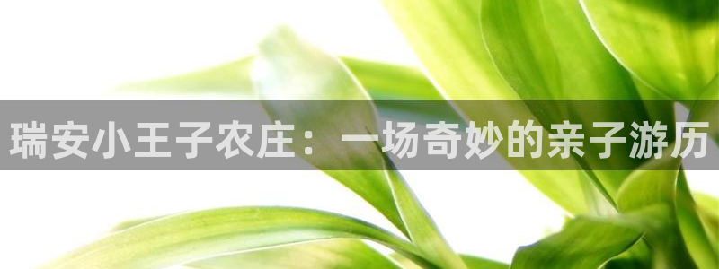 金年会安装