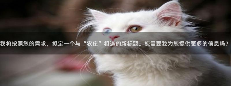 金年会