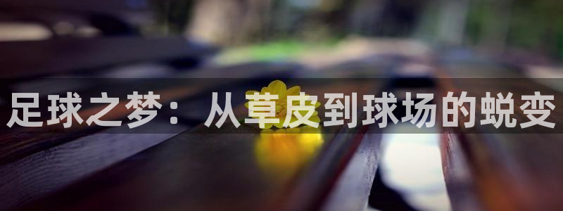 金年会彩票网址下载