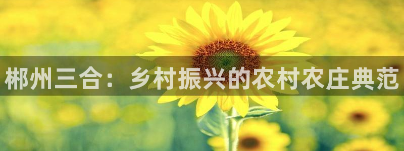 金年会手机官网