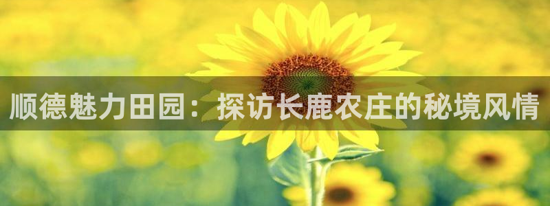 金年会电子