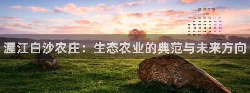 金年会APP安装下载