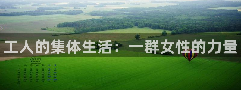金年会网址