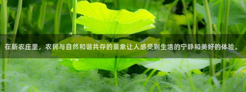 金年会app桌面