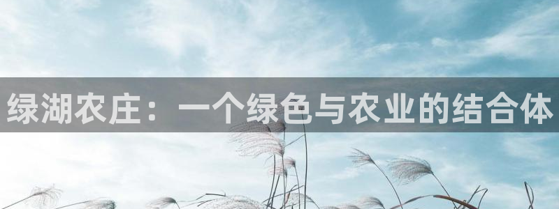 类似金年会