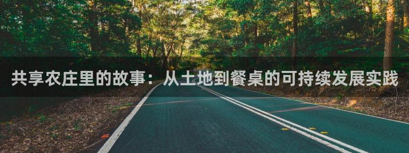 金年会 信誉至上
