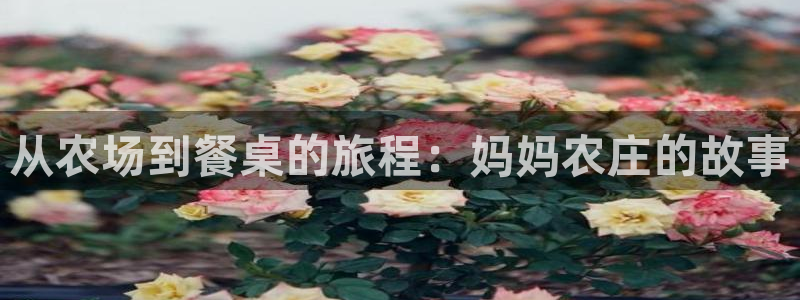 金年会jinnian
