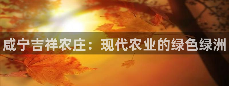 宝金年会