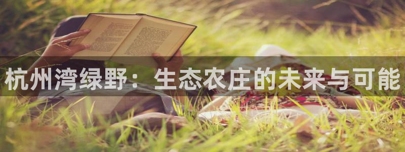 体育金年会