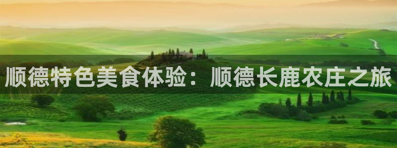 金年会活动策划