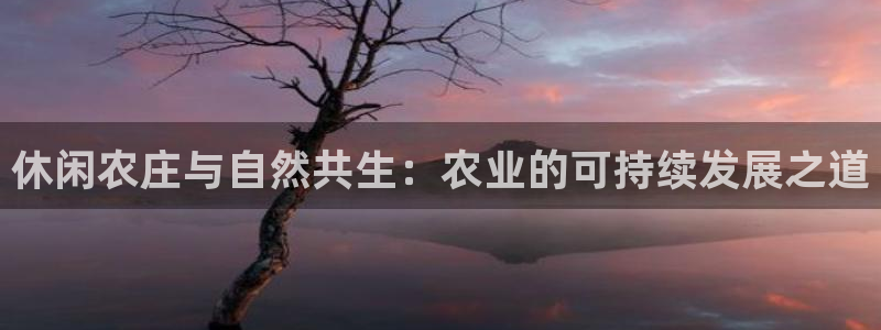 6766金年会