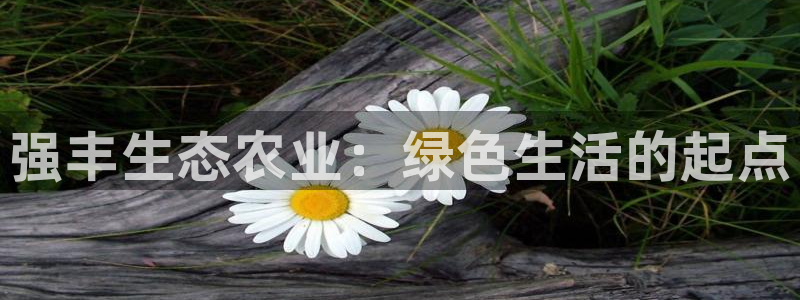 2022年金科年会