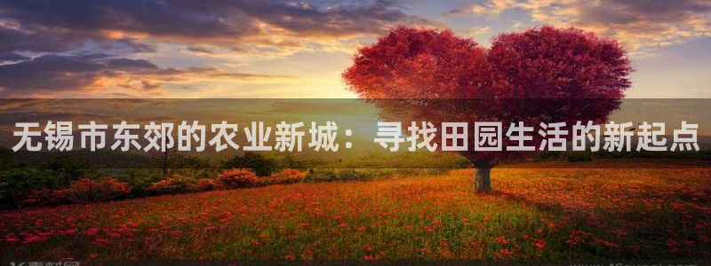 金年会APP黑钱