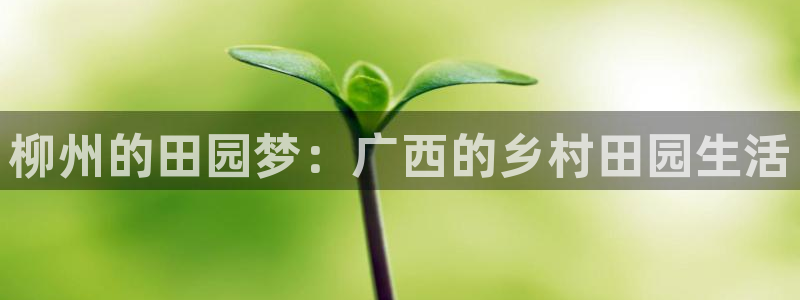 金年会嗨聊app下载