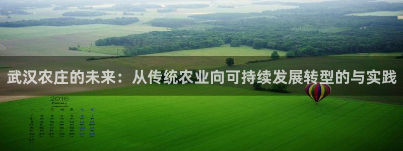 金年会电子