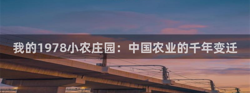 金年会官方网站