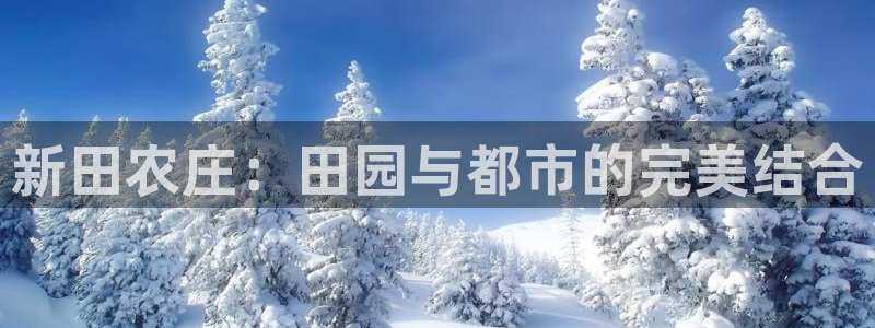 金年会赞助曼联