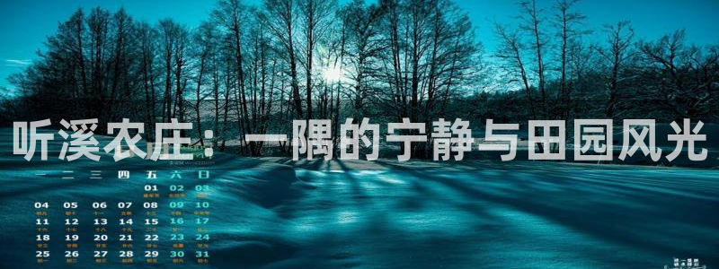 年会金