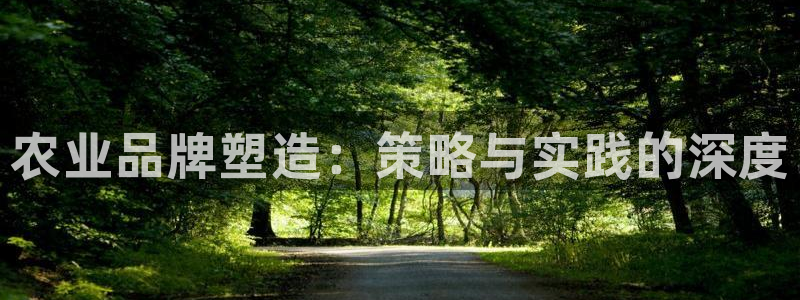 金年会体育娱乐