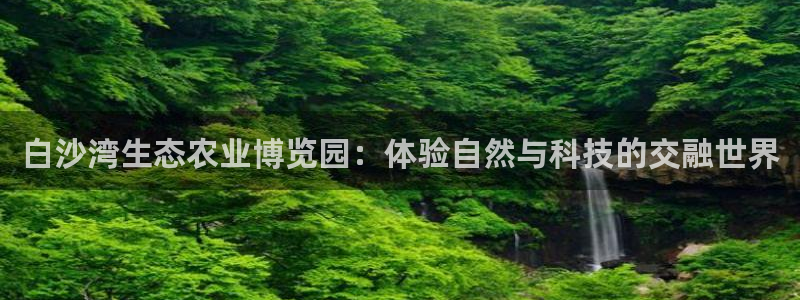 金年会入口