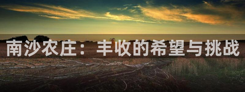 6766金年会
